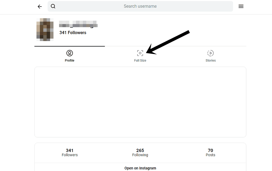 How to See Full Size Instagram Profile Picture – Download Insta DP