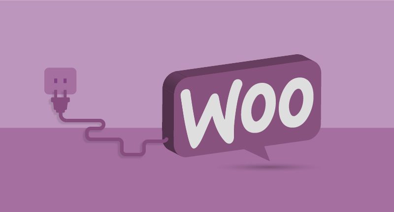 Top 10 WooCommerce Plugins To Make Your Store Even Better