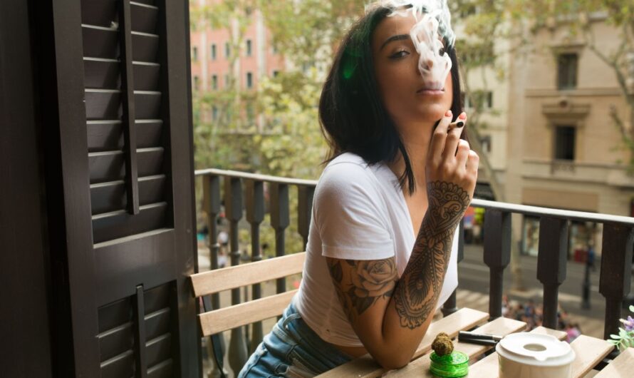 The Meeting With Cannabis Smoking in Barcelona