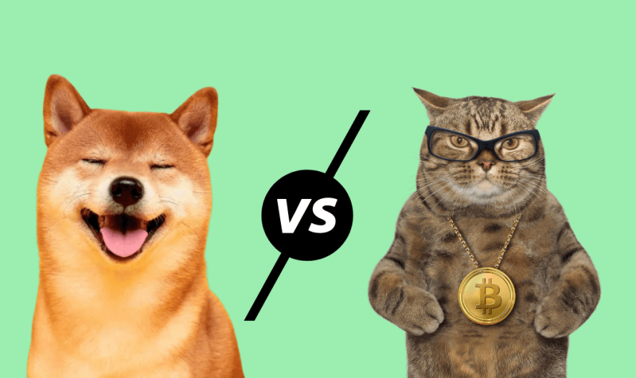 Is Dogecoin Now a Better Investment Than Bitcoin?