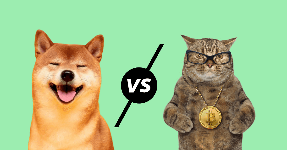 Is Dogecoin Now a Better Investment Than Bitcoin