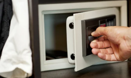 fingerprint safes for home use