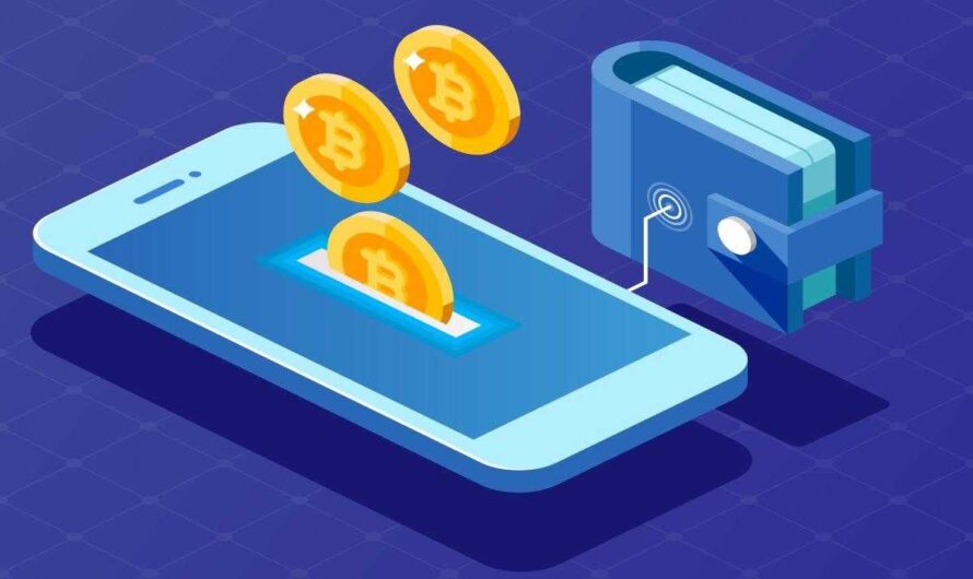 Build A Crypto Wallet — A Good Idea? How To Earn On Such A Project