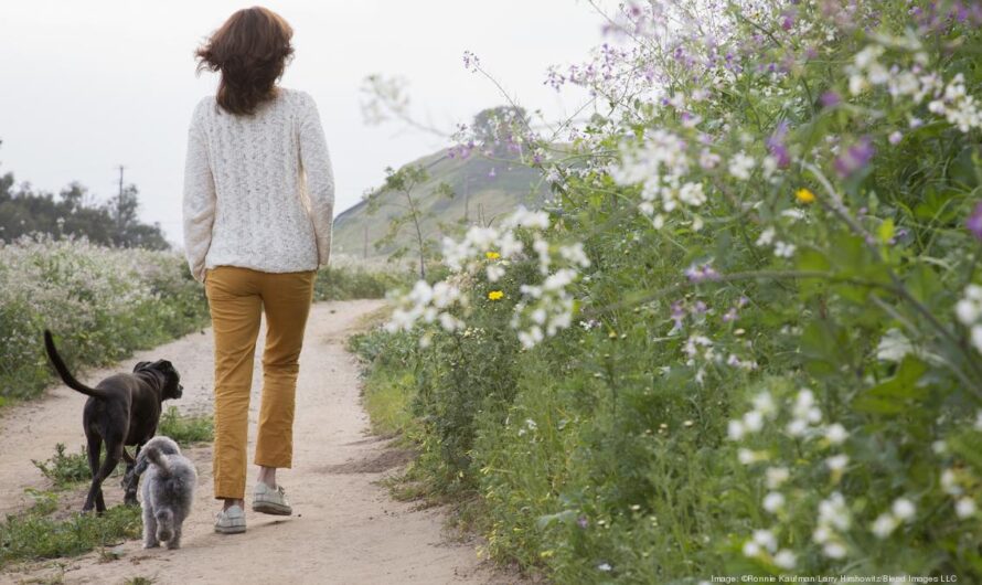 5 Reasons To Make Walking Part Of Your Daily Routine