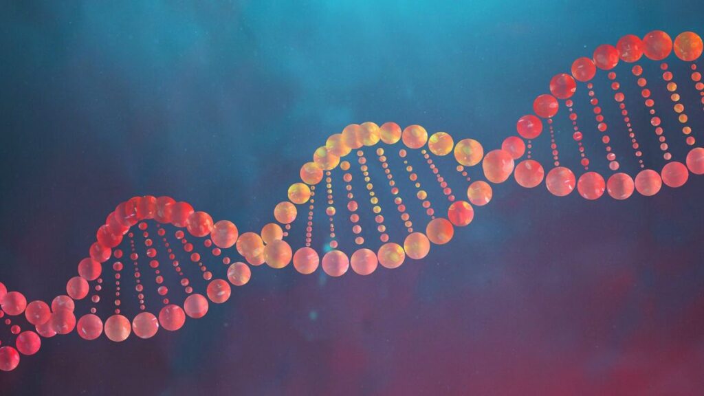 Some Important Pieces Of Information You Should Know About DNA