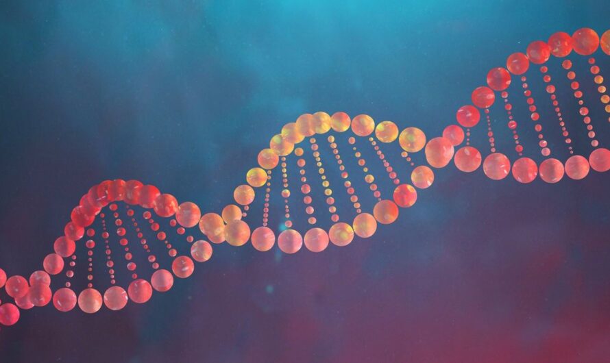 Some Important Pieces Of Information You Should Know About DNA