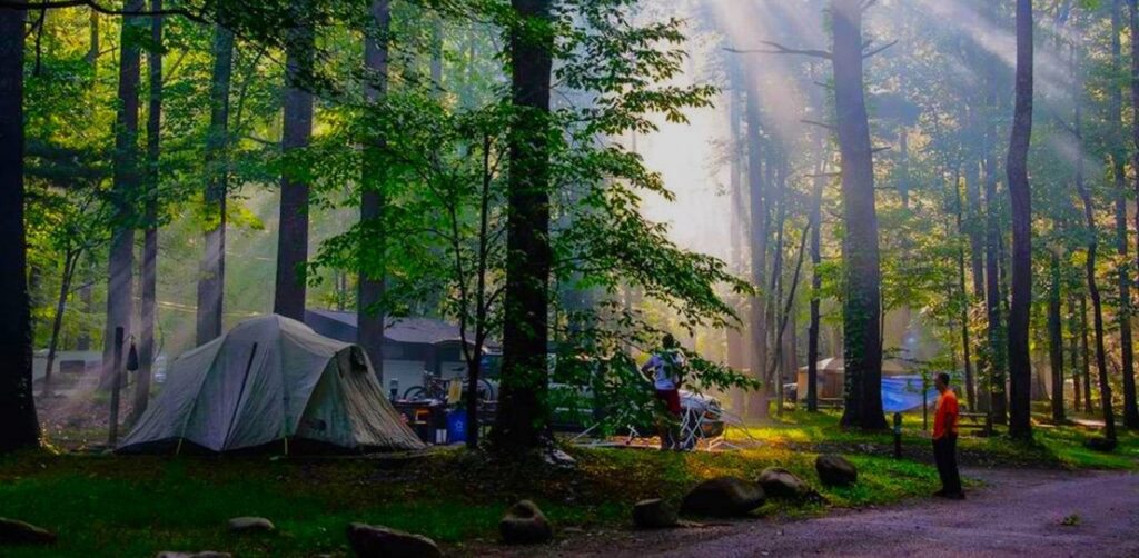 Magic of Camping in the Great Smoky Mountains