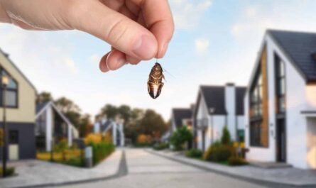 protecting house Pests
