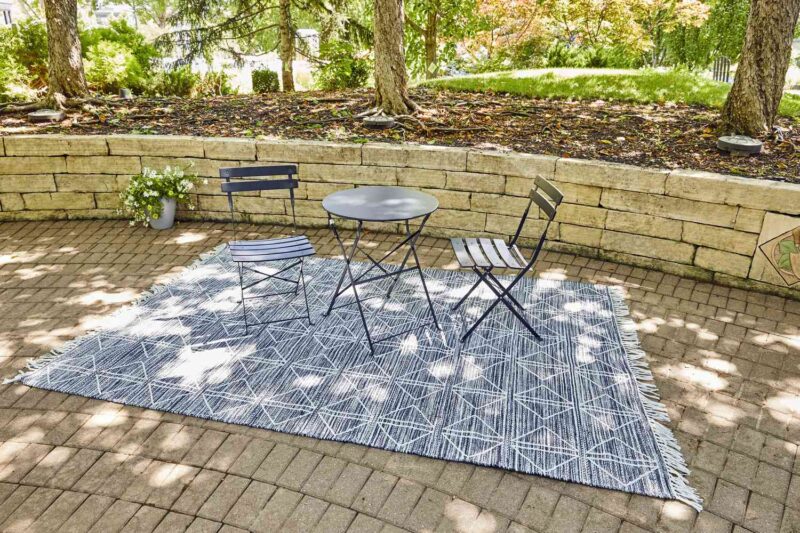 Outdoor Rugs for pets