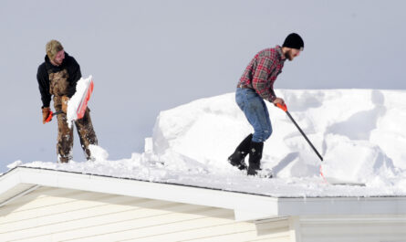Roof Snow SERVICE