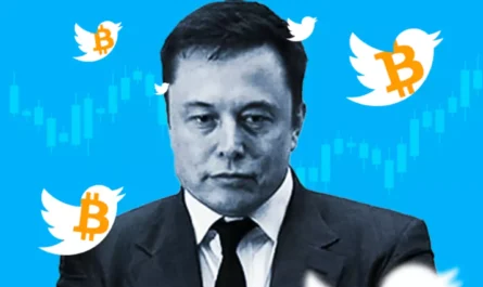 extent of elon musks influence on cryptocurrency where is it headed