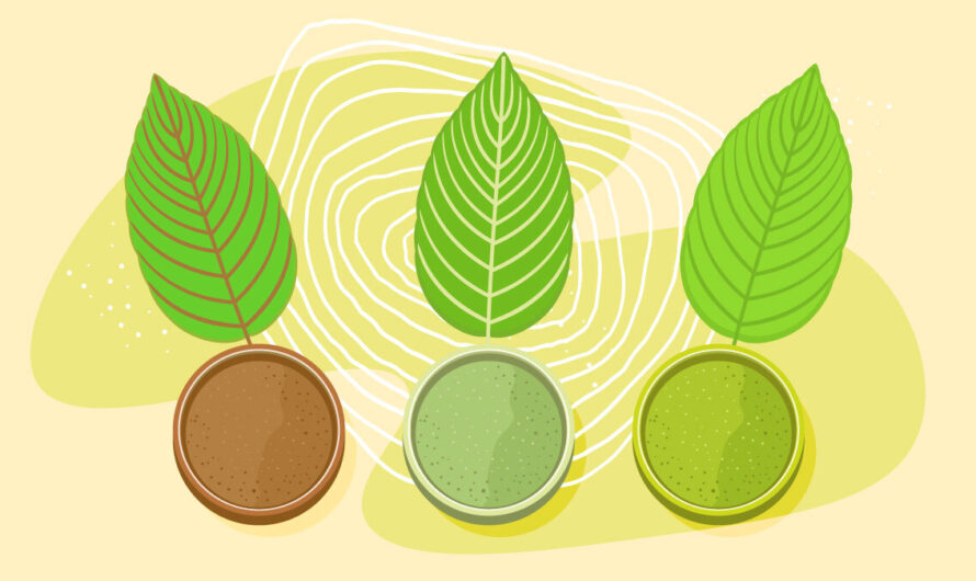 White Kratom vs Red and Green: Why This Strain Stands Alone