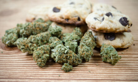 cannabis edibles 1